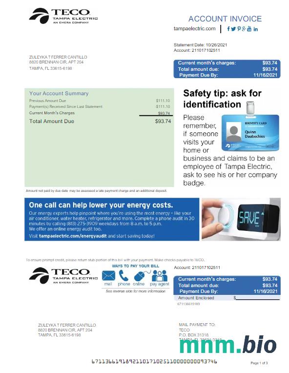 USA Teco rachunek za media Word i szablon PDF